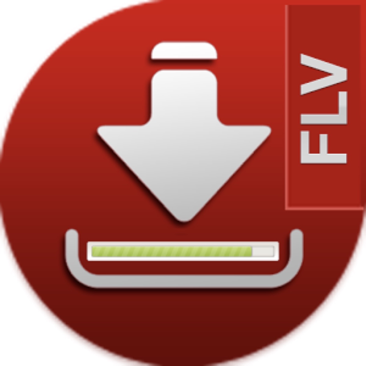 FLV Downloader